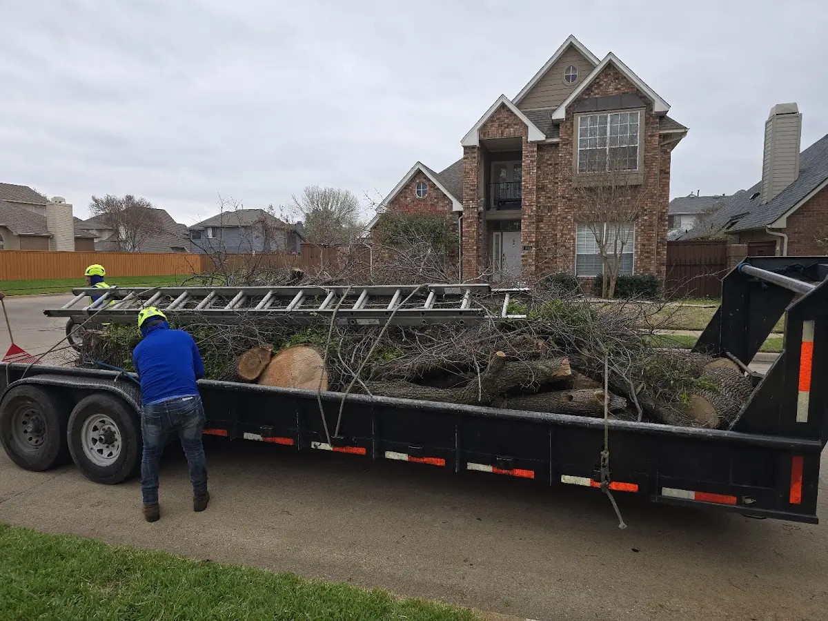 Expert Tree Pest Control with proper safety equipment in Lake Cormorant